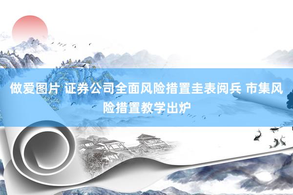 做爱图片 证券公司全面风险措置圭表阅兵 市集风险措置教学出炉