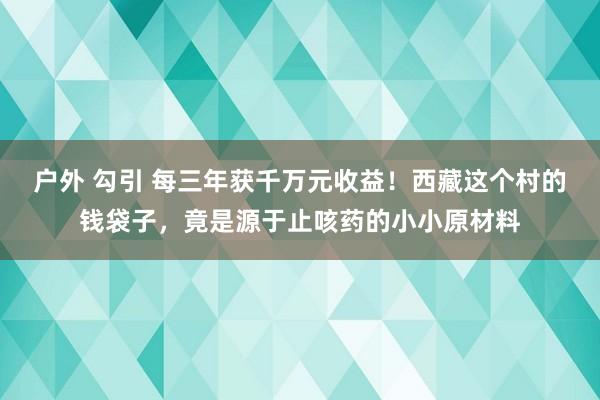 户外 勾引 每三年获千万元收益！西藏这个村的钱袋子，竟是源于止咳药的小小原材料