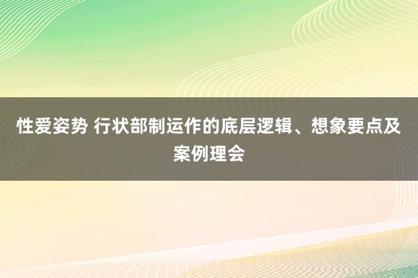 性爱姿势 行状部制运作的底层逻辑、想象要点及案例理会