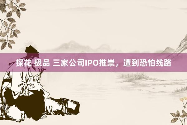 探花 极品 三家公司IPO推崇，遭到恐怕线路