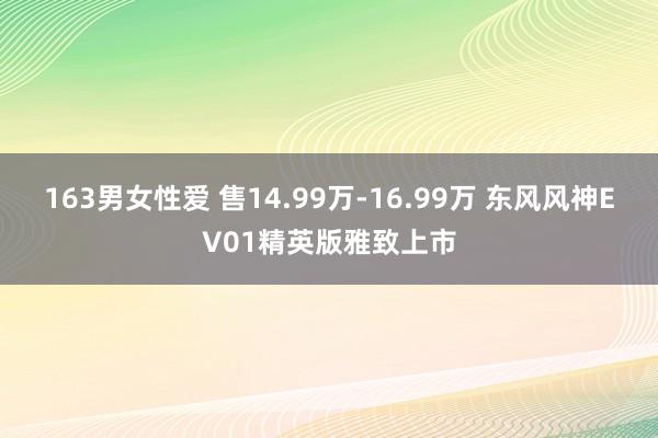 163男女性爱 售14.99万-16.99万 东风风神EV01精英版雅致上市