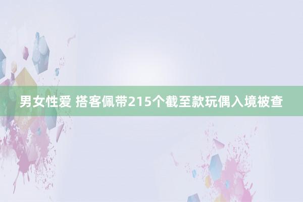 男女性爱 搭客佩带215个截至款玩偶入境被查