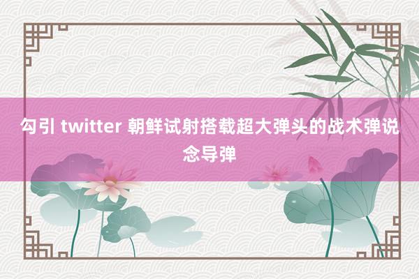 勾引 twitter 朝鲜试射搭载超大弹头的战术弹说念导弹