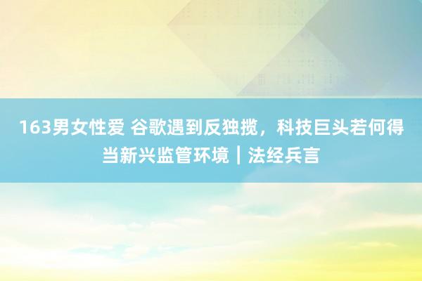 163男女性爱 谷歌遇到反独揽，科技巨头若何得当新兴监管环境︱法经兵言