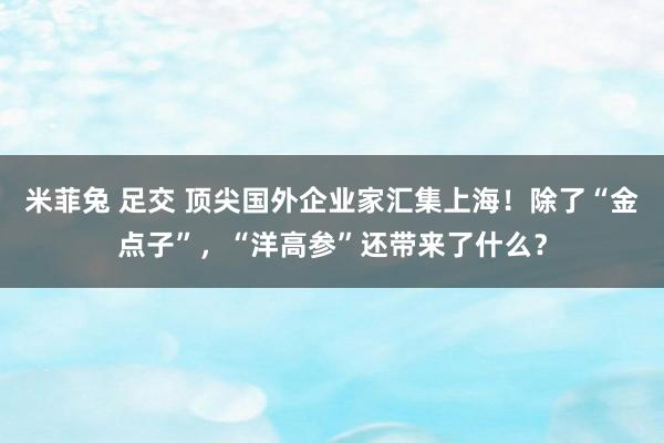 米菲兔 足交 顶尖国外企业家汇集上海！除了“金点子”，“洋高参”还带来了什么？