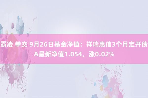 霸凌 拳交 9月26日基金净值：祥瑞惠信3个月定开债A最新净值1.054，涨0.02%