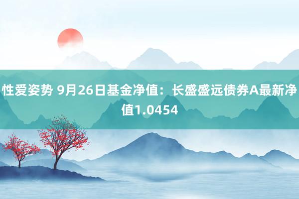 性爱姿势 9月26日基金净值：长盛盛远债券A最新净值1.0454