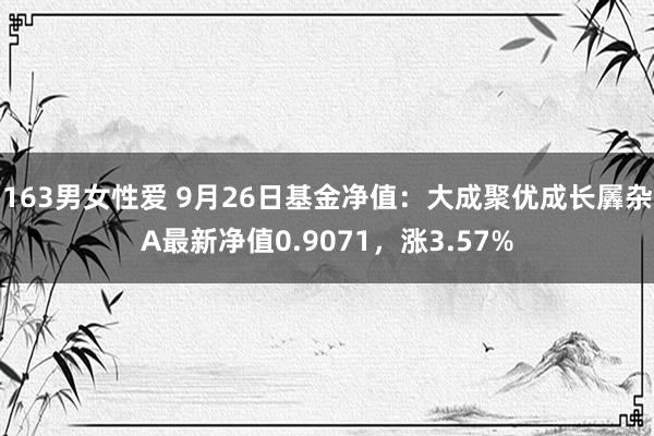 163男女性爱 9月26日基金净值：大成聚优成长羼杂A最新净值0.9071，涨3.57%