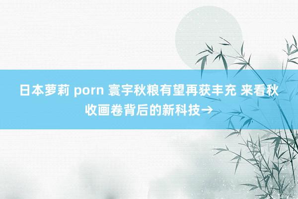 日本萝莉 porn 寰宇秋粮有望再获丰充 来看秋收画卷背后的新科技→