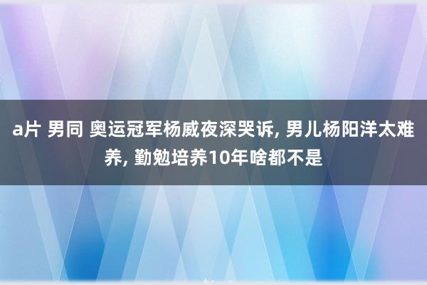 a片 男同 奥运冠军杨威夜深哭诉， 男儿杨阳洋太难养， 勤勉培养10年啥都不是