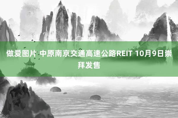 做爱图片 中原南京交通高速公路REIT 10月9日崇拜发售