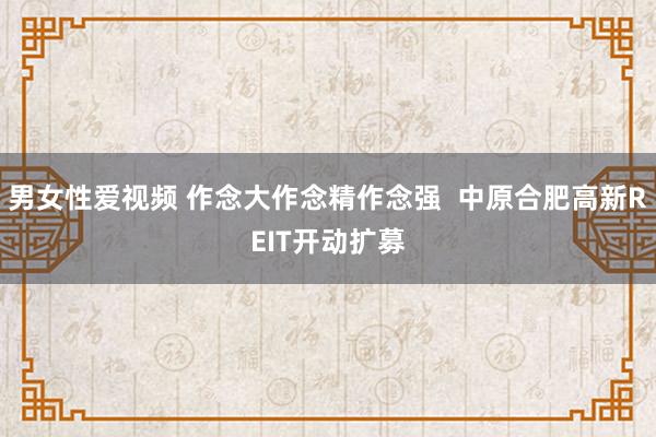 男女性爱视频 作念大作念精作念强  中原合肥高新REIT开动扩募