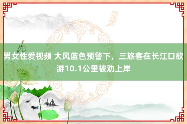 男女性爱视频 大风蓝色预警下，三旅客在长江口欲游10.1公里被劝上岸