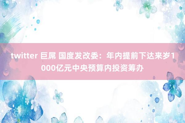 twitter 巨屌 国度发改委：年内提前下达来岁1000亿元中央预算内投资筹办