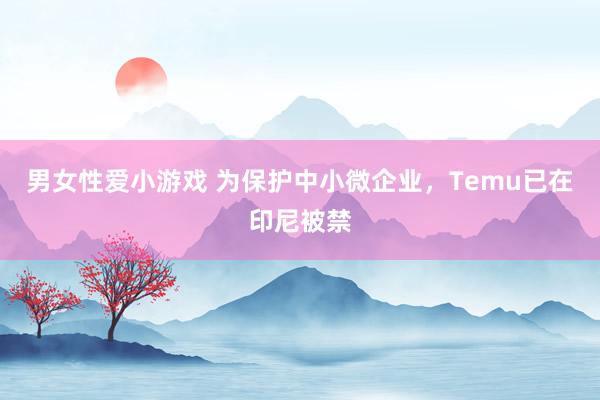 男女性爱小游戏 为保护中小微企业，Temu已在印尼被禁