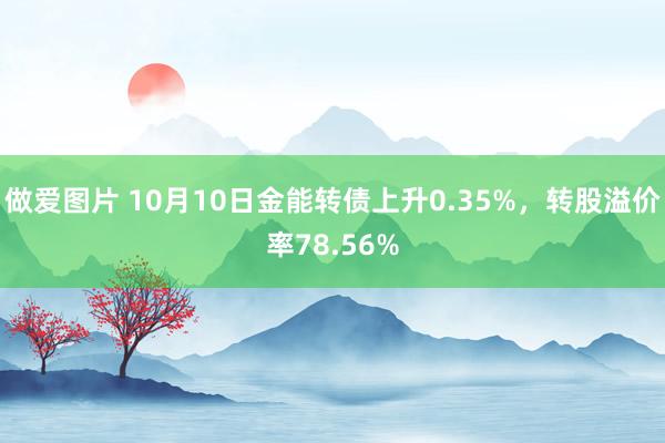 做爱图片 10月10日金能转债上升0.35%，转股溢价率78.56%