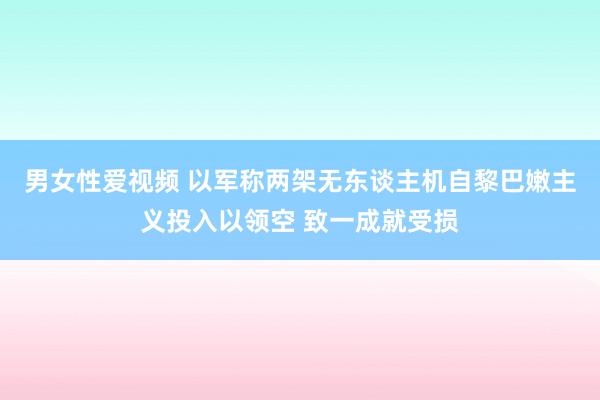 男女性爱视频 以军称两架无东谈主机自黎巴嫩主义投入以领空 致一成就受损