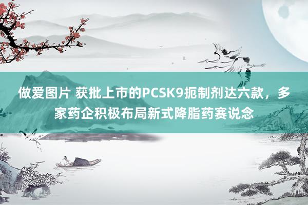 做爱图片 获批上市的PCSK9扼制剂达六款，多家药企积极布局新式降脂药赛说念