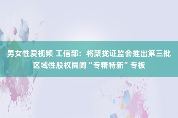 男女性爱视频 工信部：将聚拢证监会推出第三批区域性股权阛阓“专精特新”专板