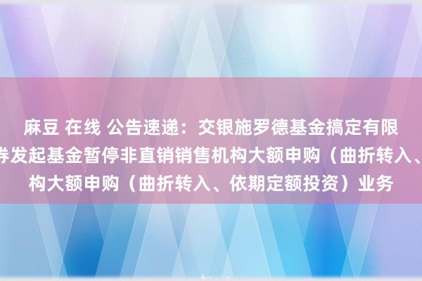 麻豆 在线 公告速递：交银施罗德基金搞定有限公司对于交银纯债债券发起基金暂停非直销销售机构大额申购（曲折转入、依期定额投资）业务