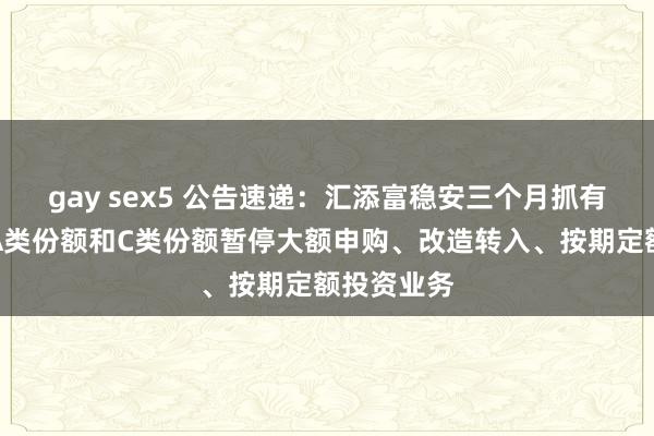 gay sex5 公告速递：汇添富稳安三个月抓有债券基金A类份额和C类份额暂停大额申购、改造转入、按期定额投资业务