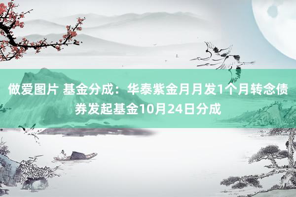 做爱图片 基金分成：华泰紫金月月发1个月转念债券发起基金10月24日分成