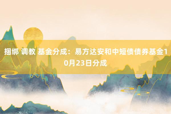 捆绑 调教 基金分成：易方达安和中短债债券基金10月23日分成