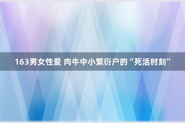 163男女性爱 肉牛中小繁衍户的“死活时刻”