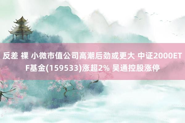 反差 裸 小微市值公司高潮后劲或更大 中证2000ETF基金(159533)涨超2% 吴通控股涨停