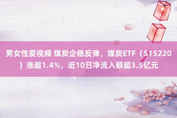 男女性爱视频 煤炭企稳反弹，煤炭ETF（515220）涨超1.4%，近10日净流入额超3.5亿元