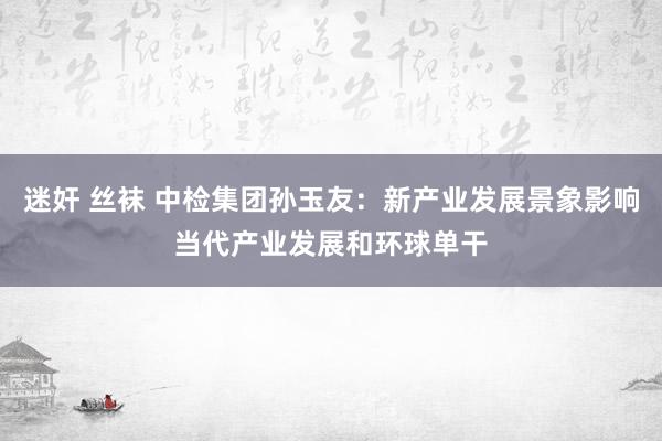 迷奸 丝袜 中检集团孙玉友：新产业发展景象影响当代产业发展和环球单干