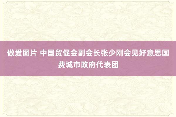 做爱图片 中国贸促会副会长张少刚会见好意思国费城市政府代表团