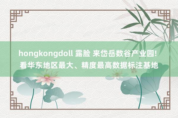 hongkongdoll 露脸 来岱岳数谷产业园! 看华东地区最大、精度最高数据标注基地