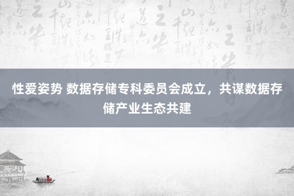 性爱姿势 数据存储专科委员会成立，共谋数据存储产业生态共建