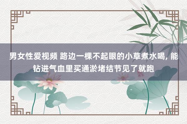 男女性爱视频 路边一棵不起眼的小草煮水喝， 能钻进气血里买通淤堵结节见了就跑