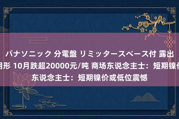 パナソニック 分電盤 リミッタースペース付 露出・半埋込両用形 10月跌超20000元/吨 商场东说念主士：短期镍价或低位震憾