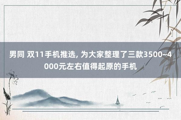 男同 双11手机推选， 为大家整理了三款3500~4000元左右值得起原的手机