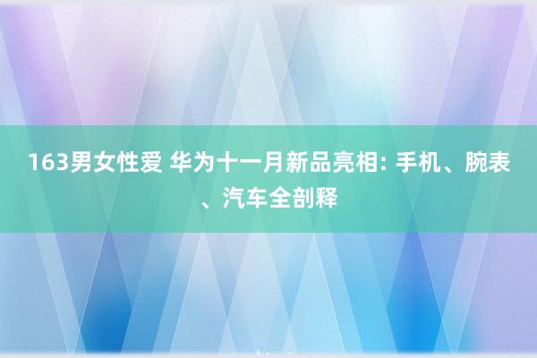 163男女性爱 华为十一月新品亮相: 手机、腕表、汽车全剖释