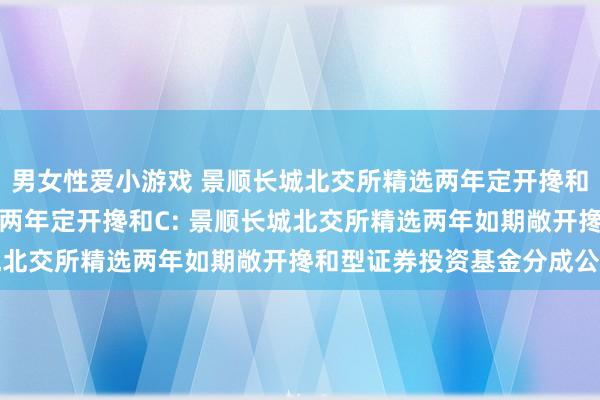 男女性爱小游戏 景顺长城北交所精选两年定开搀和A，景顺长城北交所精选两年定开搀和C: 景顺长城北交所精选两年如期敞开搀和型证券投资基金分成公告