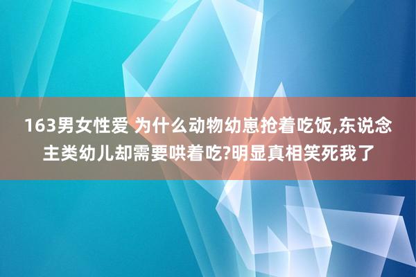 163男女性爱 为什么动物幼崽抢着吃饭，东说念主类幼儿却需要哄着吃?明显真相笑死我了