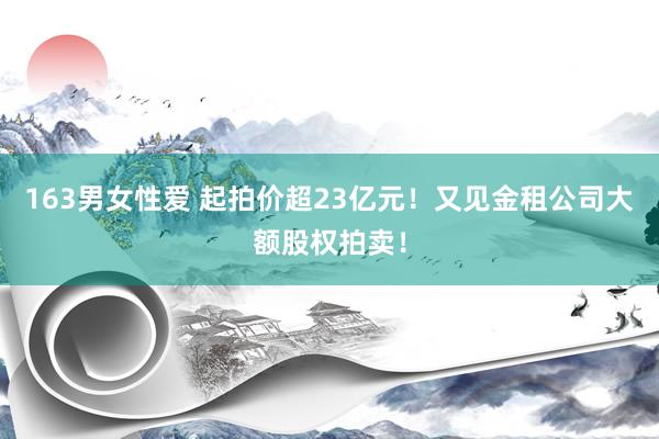 163男女性爱 起拍价超23亿元！又见金租公司大额股权拍卖！