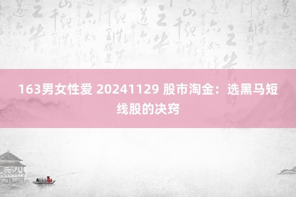 163男女性爱 20241129 股市淘金：选黑马短线股的决窍