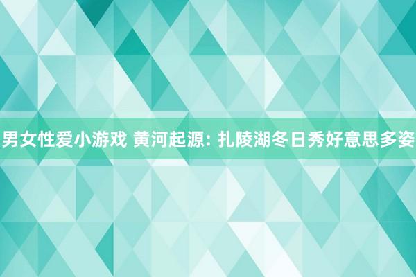 男女性爱小游戏 黄河起源: 扎陵湖冬日秀好意思多姿