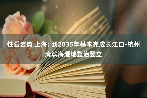 性爱姿势 上海: 到2035年基本完成长江口-杭州湾滨海湿地整治竖立