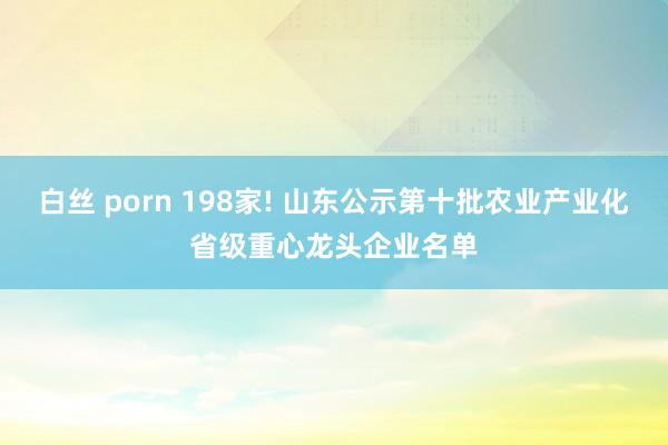 白丝 porn 198家! 山东公示第十批农业产业化省级重心龙头企业名单