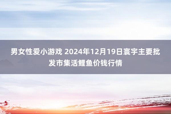 男女性爱小游戏 2024年12月19日寰宇主要批发市集活鲤鱼价钱行情