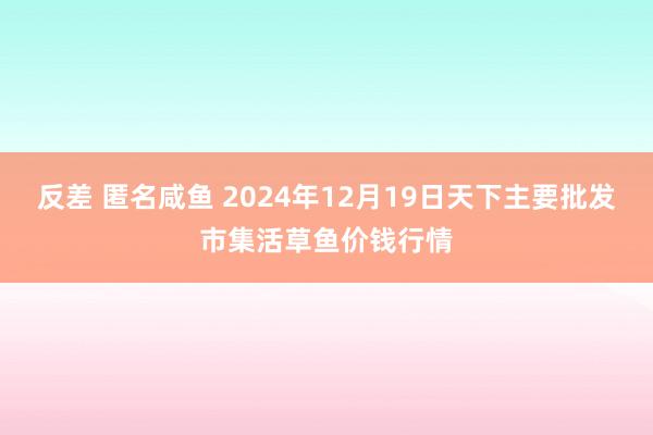 反差 匿名咸鱼 2024年12月19日天下主要批发市集活草鱼价钱行情