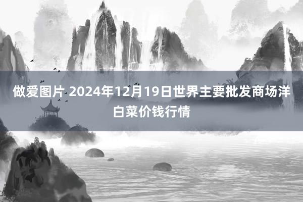 做爱图片 2024年12月19日世界主要批发商场洋白菜价钱行情