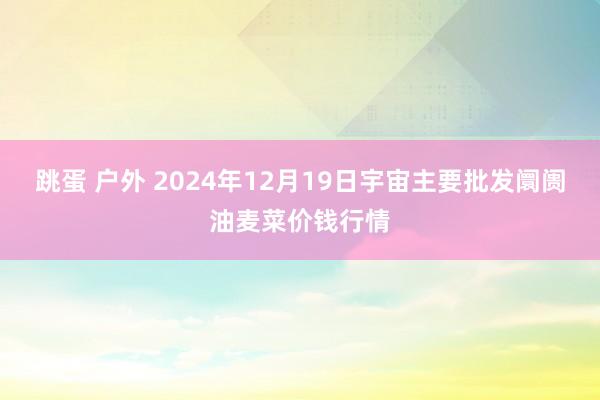 跳蛋 户外 2024年12月19日宇宙主要批发阛阓油麦菜价钱行情