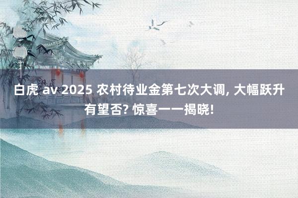 白虎 av 2025 农村待业金第七次大调， 大幅跃升有望否? 惊喜一一揭晓!